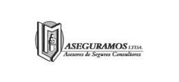 Aseguramos